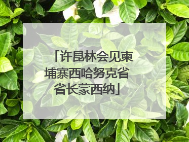 许昆林会见柬埔寨西哈努克省省长蒙西纳