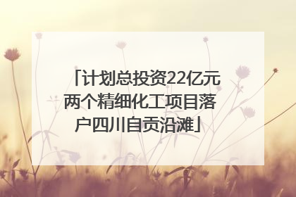 计划总投资22亿元 两个精细化工项目落户四川自贡沿滩