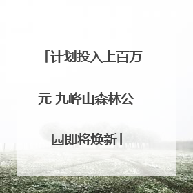 计划投入上百万元 九峰山森林公园即将焕新