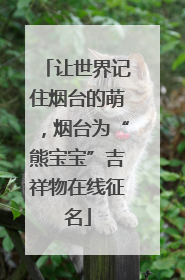 让世界记住烟台的萌，烟台为“熊宝宝”吉祥物在线征名