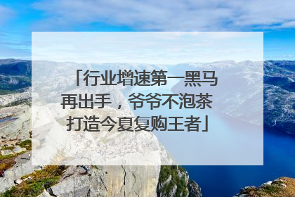 行业增速第一黑马再出手，爷爷不泡茶打造今夏复购王者