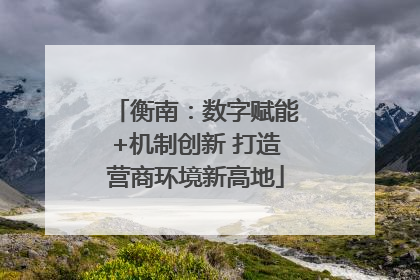 衡南：数字赋能+机制创新 打造营商环境新高地