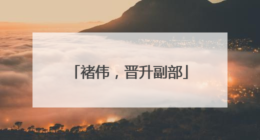褚伟，晋升副部