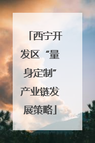 西宁开发区“量身定制”产业链发展策略