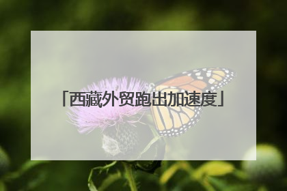 西藏外贸跑出加速度