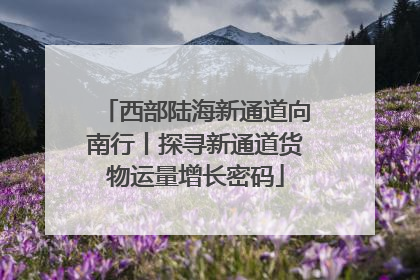 西部陆海新通道向南行丨探寻新通道货物运量增长密码