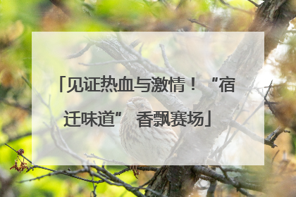 见证热血与激情！“宿迁味道” 香飘赛场