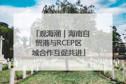 观海潮｜海南自贸港与RCEP区域合作互促共进