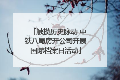 触摸历史脉动 中铁八局房开公司开展国际档案日活动