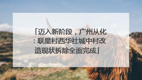 迈入新阶段，广州从化：联星村西华社城中村改造现状拆除全面完成