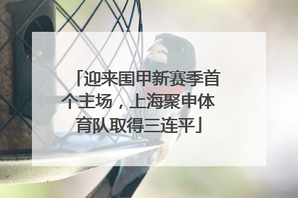 迎来围甲新赛季首个主场，上海聚申体育队取得三连平