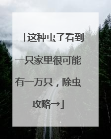 这种虫子看到一只家里很可能有一万只,除虫攻略→