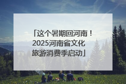 这个暑期回河南！2025河南省文化旅游消费季启动