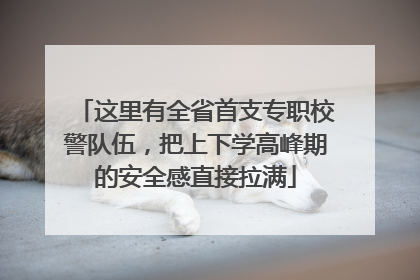 这里有全省首支专职校警队伍，把上下学高峰期的安全感直接拉满