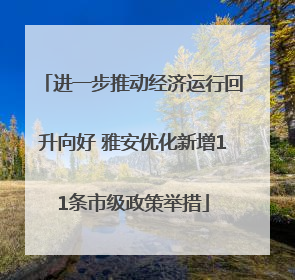 进一步推动经济运行回升向好 雅安优化新增11条市级政策举措