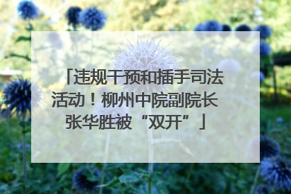 违规干预和插手司法活动！柳州中院副院长张华胜被“双开”