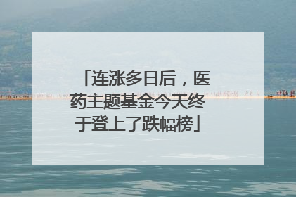 连涨多日后，医药主题基金今天终于登上了跌幅榜