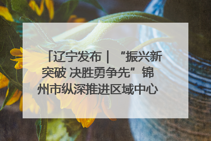 辽宁发布｜“振兴新突破 决胜勇争先”锦州市纵深推进区域中心城市建设 打造高质量发展新增长极