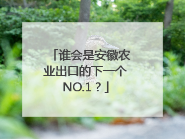 谁会是安徽农业出口的下一个NO.1？