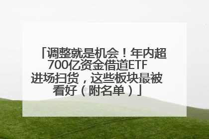 调整就是机会！年内超700亿资金借道ETF进场扫货，这些板块最被看好（附名单）