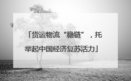 货运物流“稳链”，托举起中国经济复苏活力