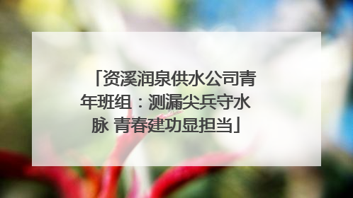 资溪润泉供水公司青年班组：测漏尖兵守水脉 青春建功显担当