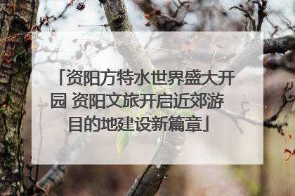 资阳方特水世界盛大开园 资阳文旅开启近郊游目的地建设新篇章