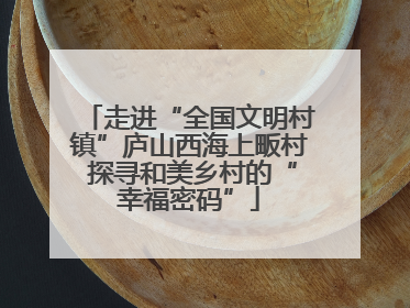 走进“全国文明村镇”庐山西海上畈村 探寻和美乡村的“幸福密码”