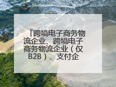 跨境电子商务物流企业、跨境电子商务物流企业（仅B2B）、支付企业备案操作指南