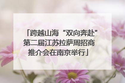 跨越山海“双向奔赴” 第二届江苏拉萨周招商推介会在南京举行