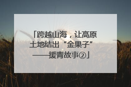 跨越山海，让高原土地结出“金果子”——援青故事②
