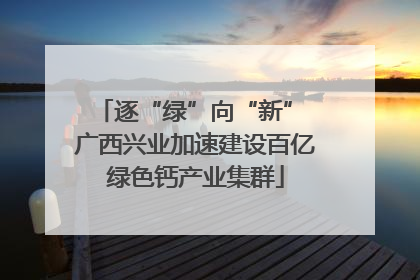 逐“绿”向“新” 广西兴业加速建设百亿绿色钙产业集群
