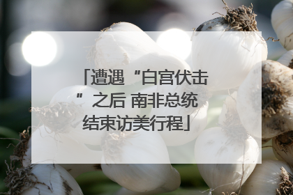 遭遇“白宫伏击”之后 南非总统结束访美行程