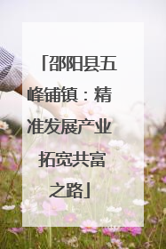 邵阳县五峰铺镇：精准发展产业 拓宽共富之路