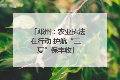 邓州：农业执法在行动 护航“三夏”保丰收