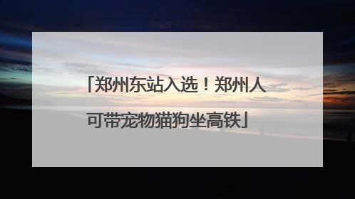 郑州东站入选！郑州人可带宠物猫狗坐高铁