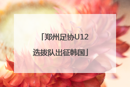郑州足协U12选拔队出征韩国