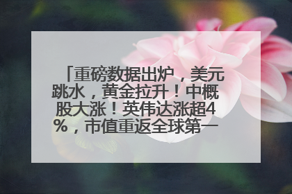 重磅数据出炉，美元跳水，黄金拉升！中概股大涨！英伟达涨超4%，市值重返全球第一！黄仁勋计划出售至多600万股股票