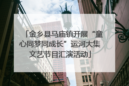 金乡县马庙镇开展“童心同梦同成长”运河大集文艺节目汇演活动