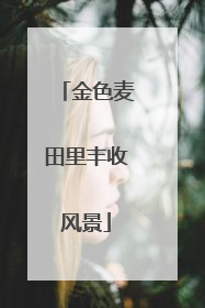 金色麦田里丰收风景