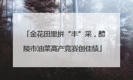 金花田里拼“丰”采，醴陵市油菜高产竞赛创佳绩