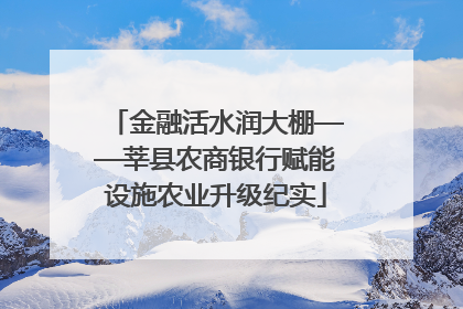金融活水润大棚——莘县农商银行赋能设施农业升级纪实