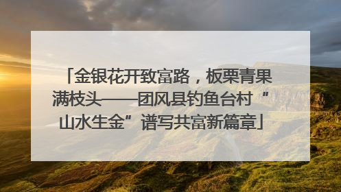 金银花开致富路，板栗青果满枝头——团风县钓鱼台村“山水生金”谱写共富新篇章