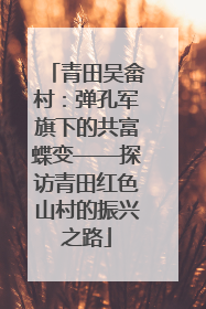 青田吴畲村：弹孔军旗下的共富蝶变——探访青田红色山村的振兴之路