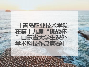 青岛职业技术学院在第十九届“挑战杯”山东省大学生课外学术科技作品竞赛中斩获佳绩