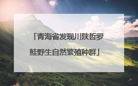 青海省发现川陕哲罗鲑野生自然繁殖种群