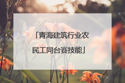 青海建筑行业农民工同台赛技能