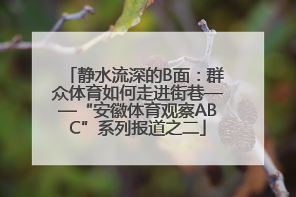 静水流深的B面：群众体育如何走进街巷——“安徽体育观察ABC”系列报道之二