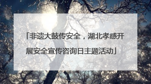 非遗大鼓传安全，湖北孝感开展安全宣传咨询日主题活动