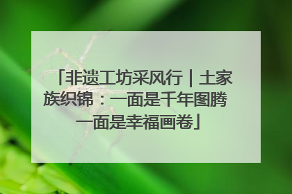 非遗工坊采风行｜土家族织锦：一面是千年图腾 一面是幸福画卷